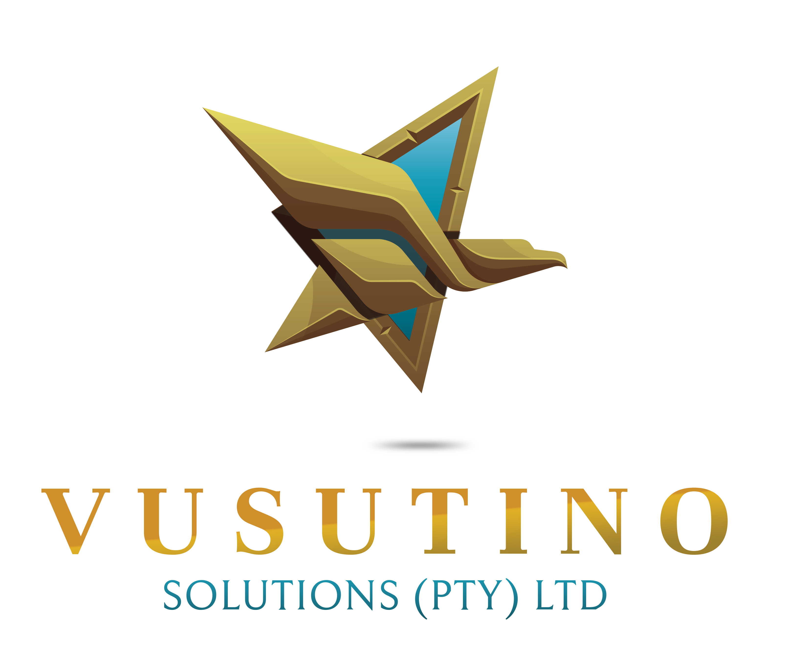 Vusutinosolutions